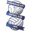 Birmingham logo