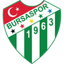 Bursaspor logo