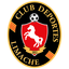 Deportes Limache logo