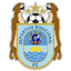 Deportivo Binacional logo
