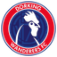 Dorking Wanderers logo