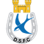 Dungannon Swifts logo