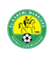 El Kanemi Warriors logo
