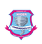 Niger Tornadoes logo