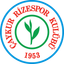Rizespor logo