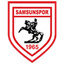 Samsunspor logo