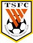 Shandong Taishan logo