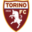 Torino logo