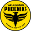 Wellington Phoenix logo