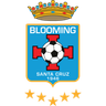 Blooming logo