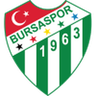 Bursaspor logo