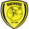 Burton logo