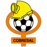 Cobresal logo