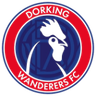 Dorking Wanderers logo