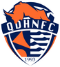 Qingdao Hainiu logo
