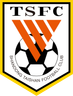 Shandong Taishan logo