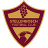Stellenbosch logo