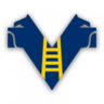 Verona logo