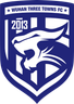 Wuhan Three Towns logo
